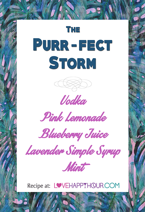 The Purr-fect Storm Cocktail recipe.  #kitten #cocktail #recipe #Storm 