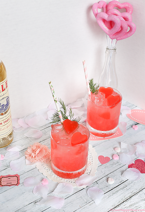 Fifty Shades of Pink Cocktail