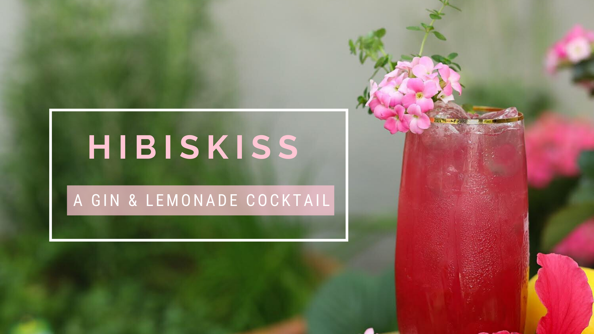 HibisKiss Lemonade Cocktail | Love Happy Hour #hibiscus #lemonade #gin #cocktail